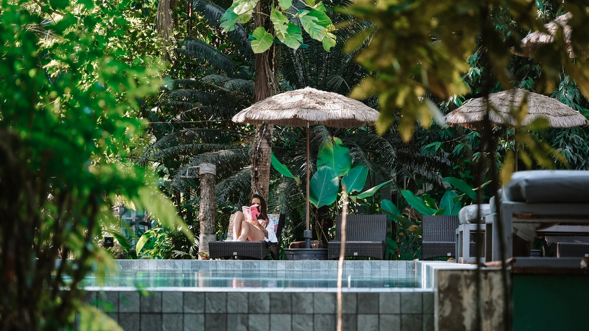 jungle-hotel-thailand